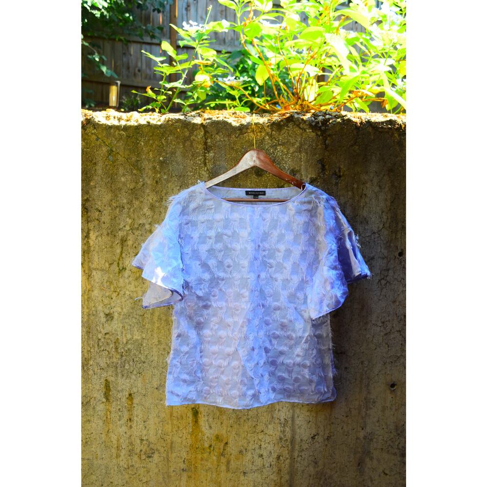Banana Republic Purple Sheer Ruffle Front Blouse – Size S